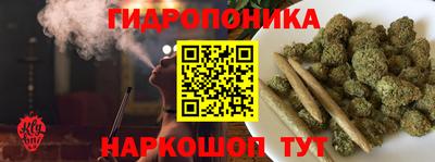 амф Обь